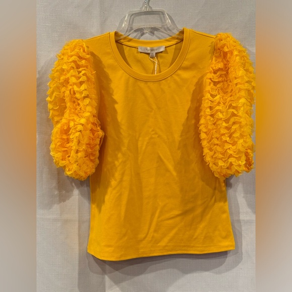 Flat White Anthropologie Marigold Ruffle sleeve top size S NWT - Picture 1 of 12